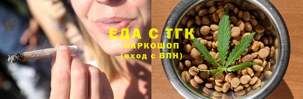 индика Алзамай