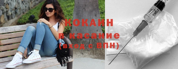 индика Алзамай