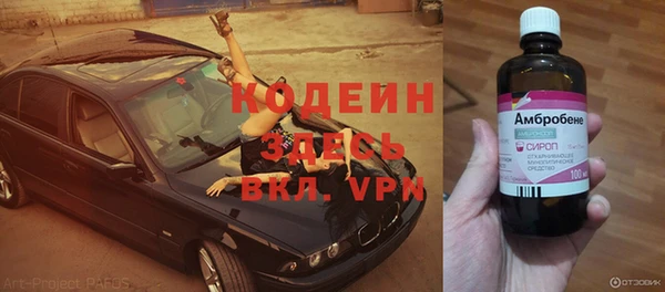 индика Алзамай