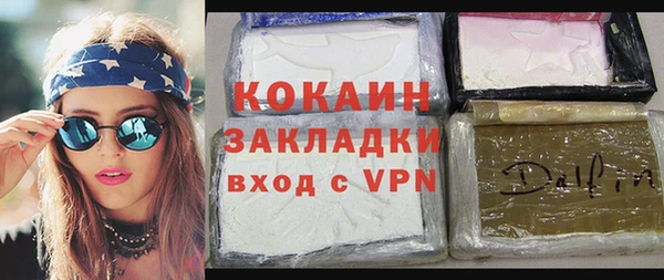 индика Алзамай