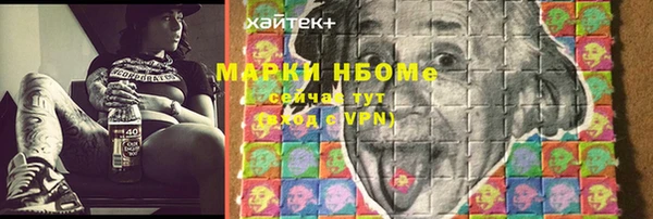 индика Алзамай