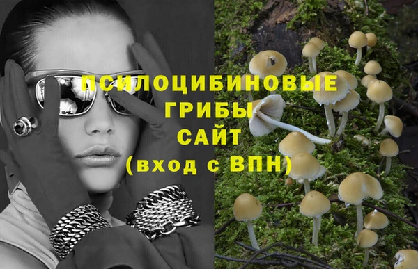 spice Алексеевка
