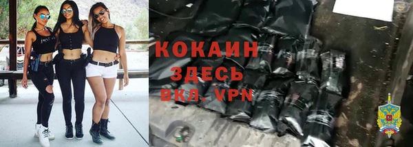 индика Алзамай