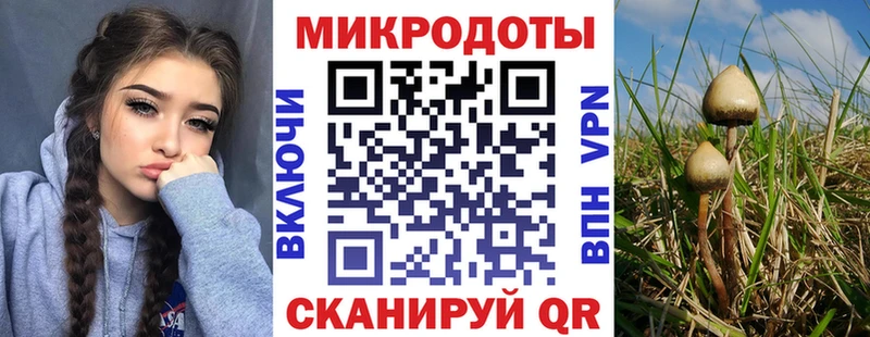 Галлюциногенные грибы MAGIC MUSHROOMS  где купить наркотик  Котовск 